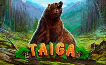 Taiga / Тайга