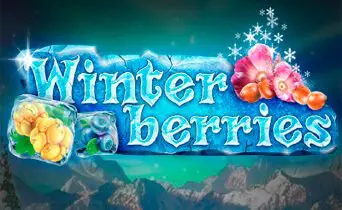 Winter Berries / Зимние Ягоды